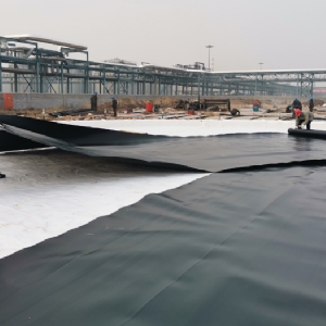 HDPE geomembrane