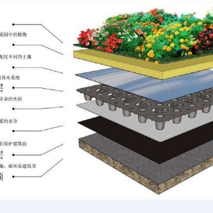 蓄排水板